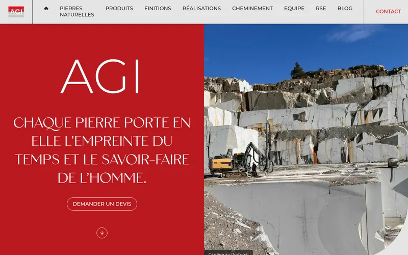 Capture d'écran du site AGI Import